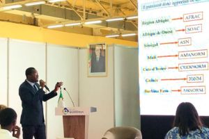 Accessibilité linguistique